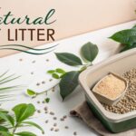 Natural Cat Litter